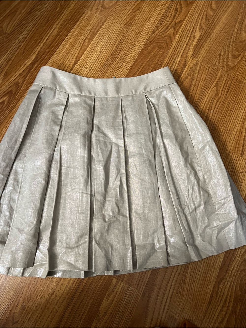 Banana Republic Metallic Silver Pleated Skater Skirt